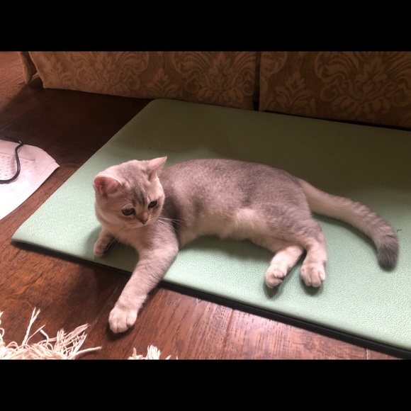 Meet your Posher, Yvonne - Picture 1 of 1